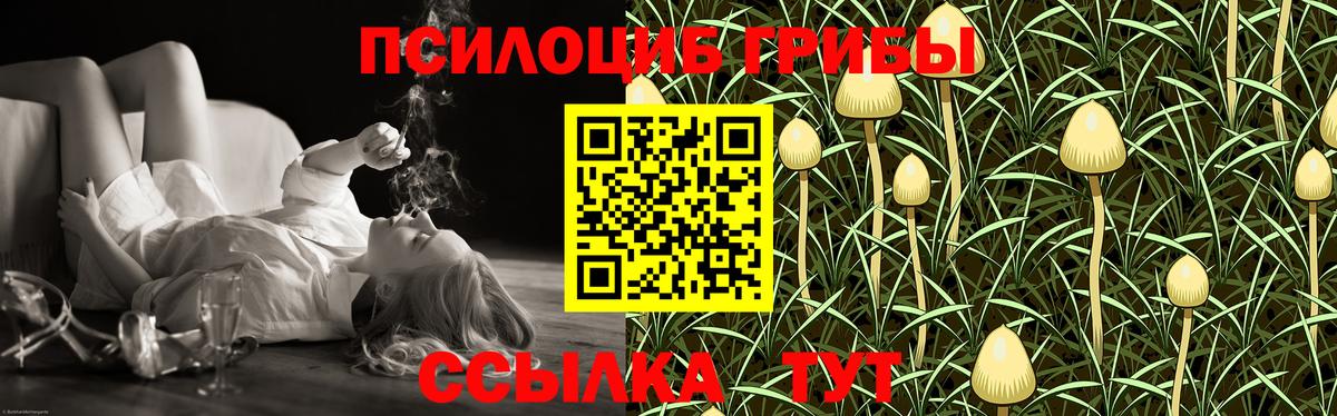 Вязники  Псилоцибиновые грибы мицелий  Вход с VPN 
