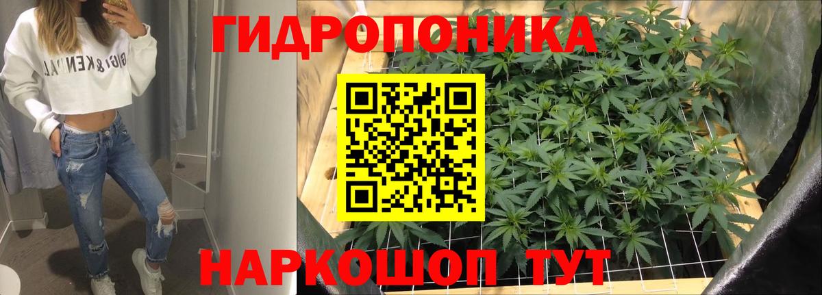 Шишки марихуана план Вязники